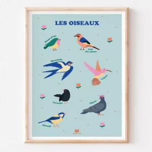 Affiche pédagogique - décoration enfant - Les oiseaux