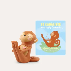 Ma pause Zen - Se canaliser avec Marty le ouistiti [FR]