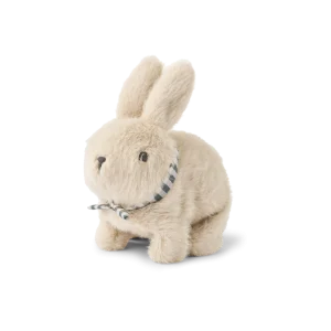 LAPIN À MOTEUR - DEV RABBIT