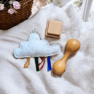 Box jouets bois pour enfants et bébés par âge - Jouet sensoriels