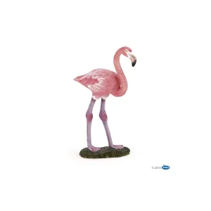 Flamant rose